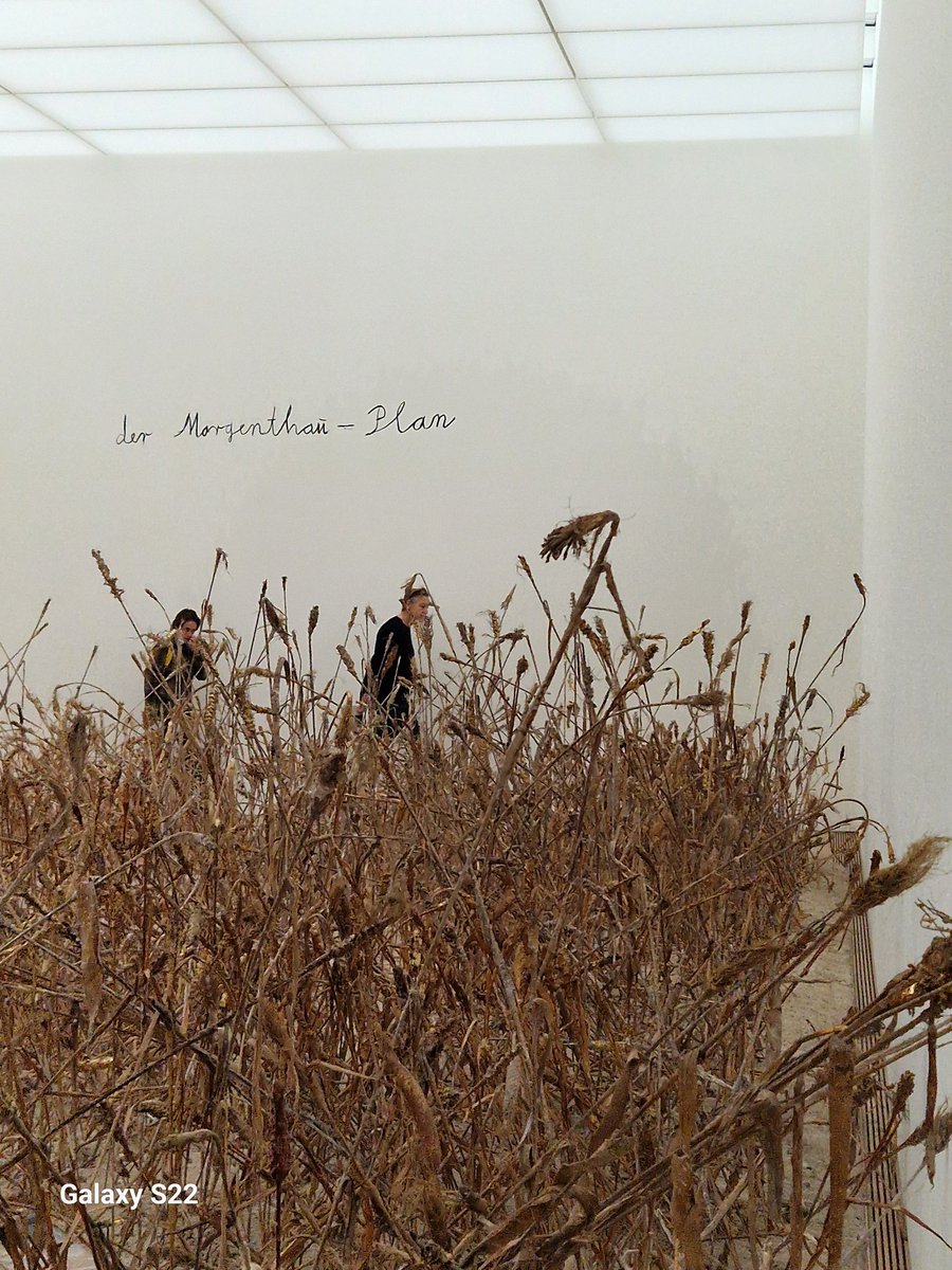 SJ99037054's tweet image. #MorgenthauPlan von #Anselm Kiefer. Ausstellung in Holland. 
Sehr interessant!