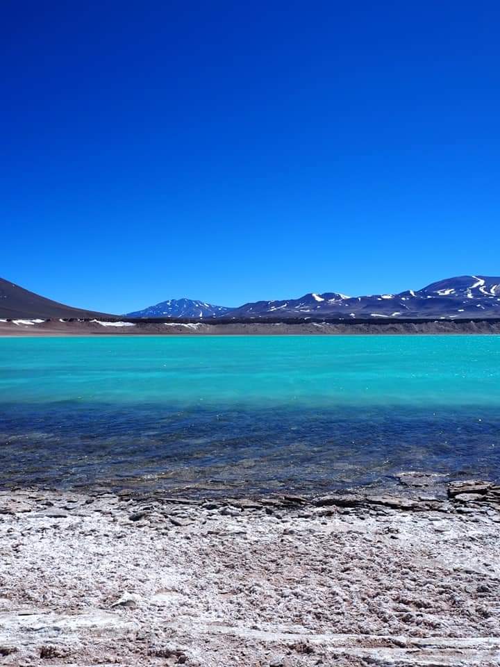 Volcán Ojos del Salado y su maravillosa belleza. 🙌🇦🇷🦙

Ubicado al oeste de la Provincia de Catamarca, en la Cordillera de los Andes, a una altura de 6891 m.s.n.m. Es el volcán más alto del mundo.

Fotos de Christian Vulcano Expediciones.