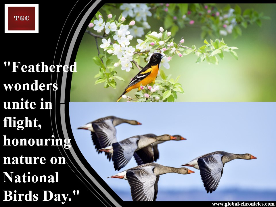🕊️ National Birds Day: Celebrating Freedom in Flight! 🕊️
#NationalBirdsDay #AvianConservation #BirdsRights #FreedomInFlight #BirdWelfare #ProtectOurFeatheredFriends
#BirdTradeAwareness #NatureSymphony #flightoffreedom #dailyfacts #randomfacts #GK #TGC #TheGlobalChronicles