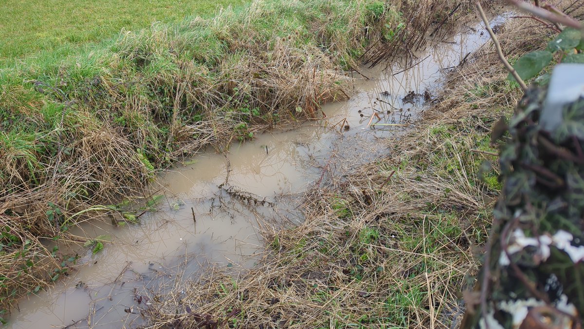Lots of unmaintained dykes and ditches around Tydd St Giles. All the ones maintained by the @Northlevelidb are flowing well and these ought to be flowing into those ditches. Not sure who they belong to but the @EnvAgency must have powers to get them cleared out.