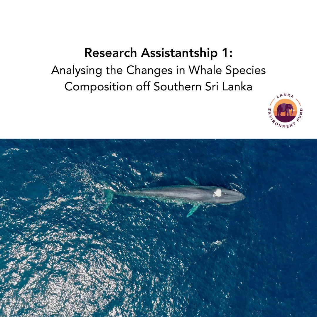 Oceanswell tweet media