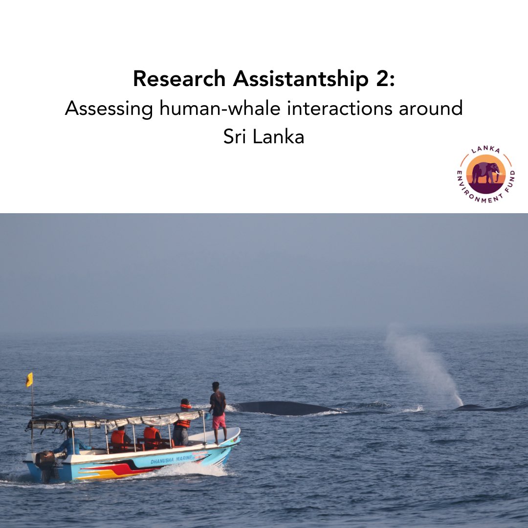 Oceanswell tweet media