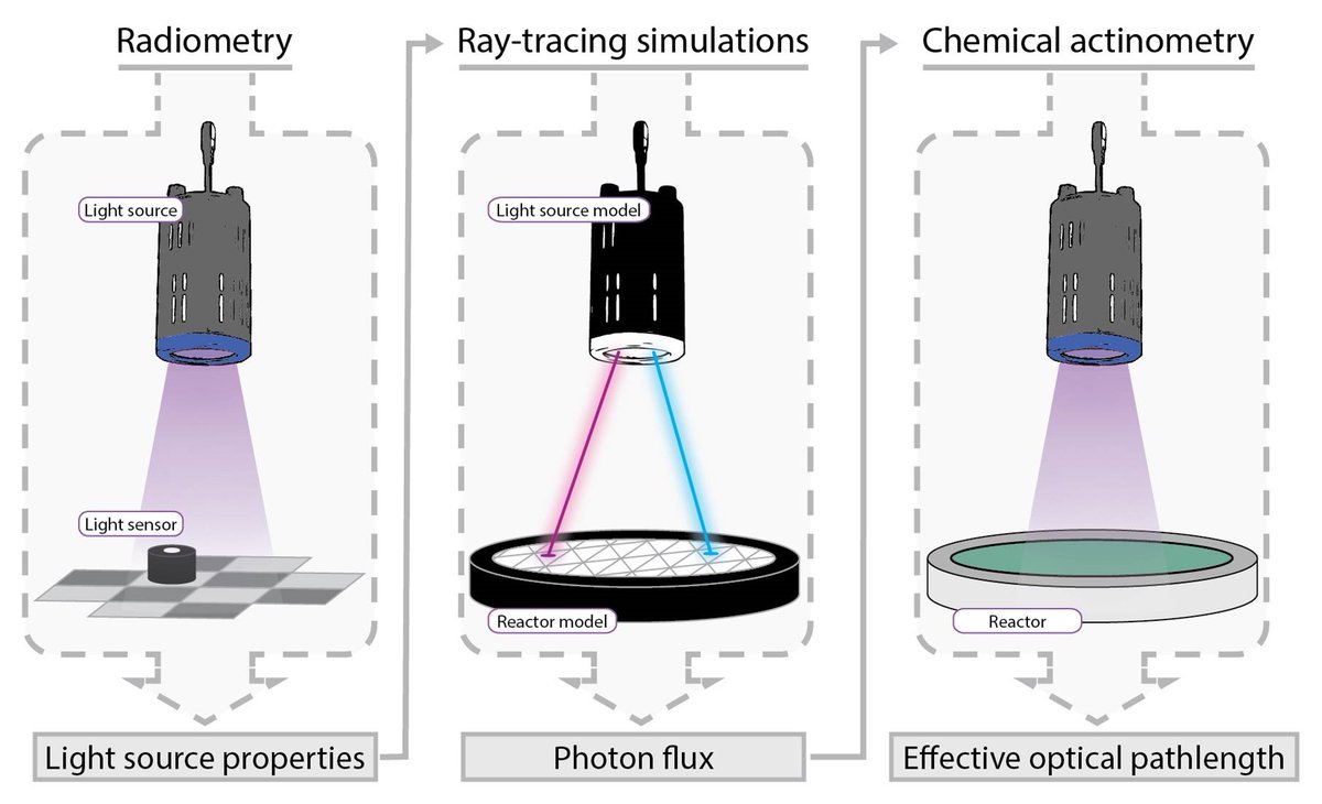 Reactor characterization is key for achieving reproducible results, particularly for photochemistry.

Explore this workflow by <a href="/StZondag/">Stefan Zondag</a>, <a href="/JHASchuurmans/">Jasper Schuurmans</a> and Arnab for accurate determination of photon fluxes and photon path lengths! 

Available <a href="/ChemRxiv/">ChemRxiv</a>: chemrxiv.org/engage/chemrxi…