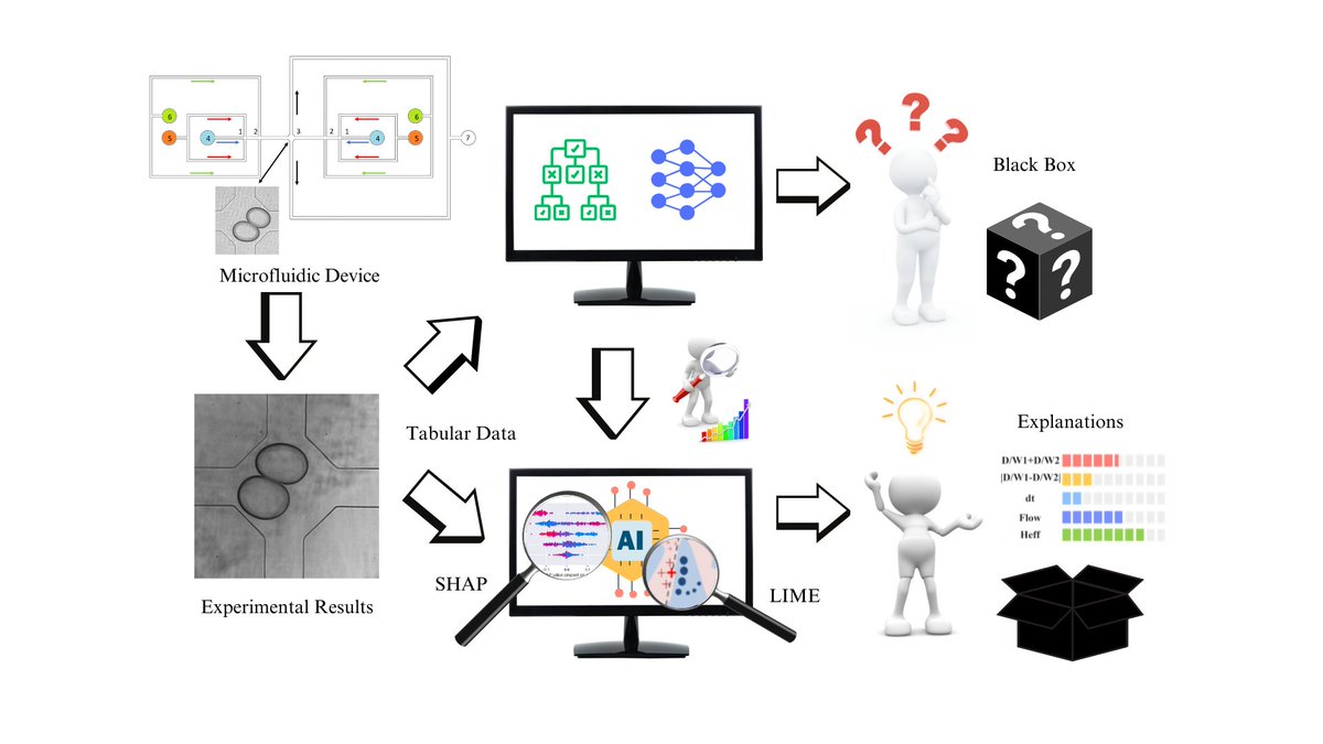 #HappyNewYear2024! Check out our latest: #Explainable #AI models for drop coalescence in #microfluidics devices 🔗online in @ChemEngJournal tinyurl.com/mrx4bpth @ChemEngBham @ImperialDSI @UniOfYork @PREMIERE_UKRI @ImperialChemEng #MachineLearning #Simulation #Multiphase