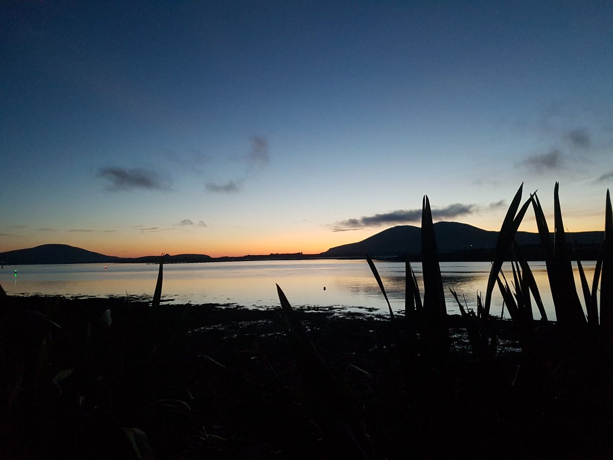 Stephen Hutton tweet media