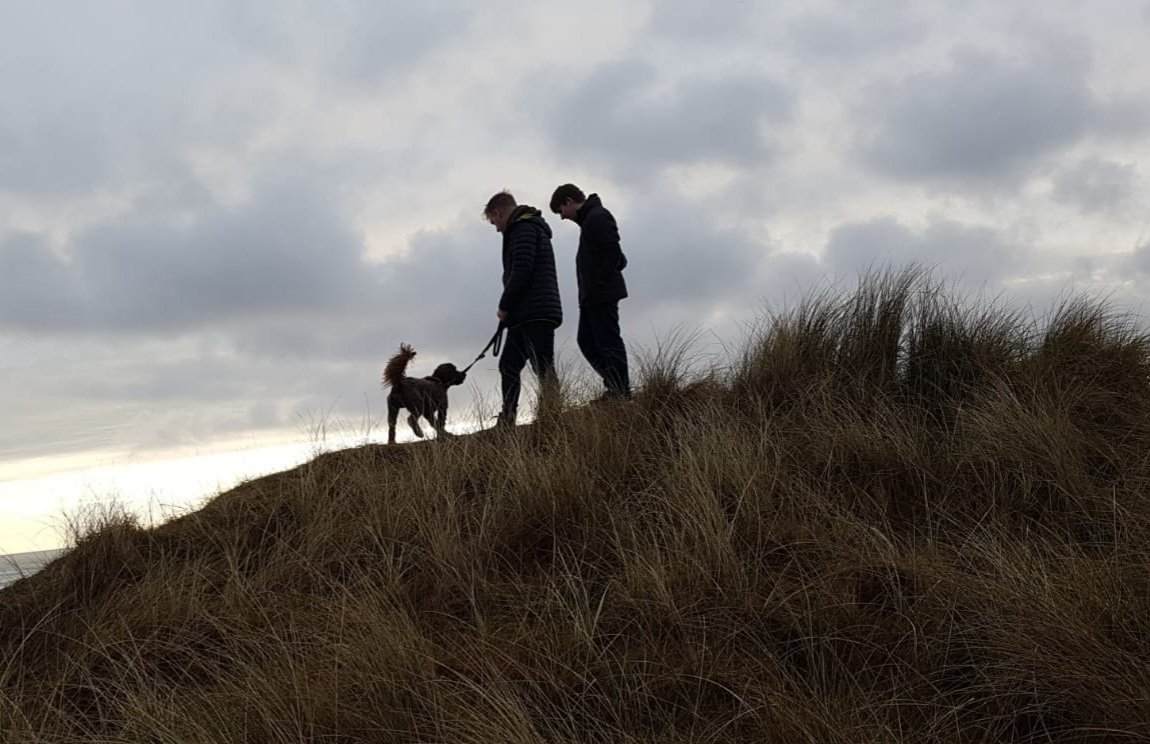 Stephen Hutton tweet media