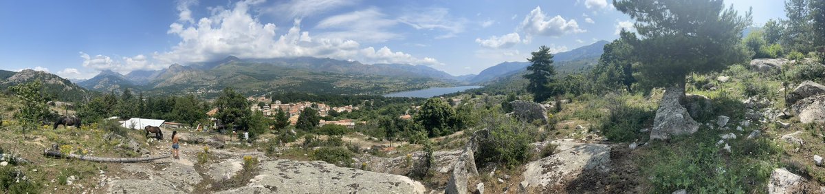 marc-abel bisch tweet media