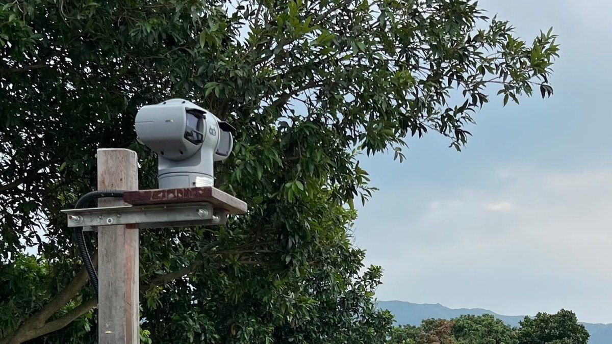 TeltonikaNET's tweet photo. It’s not every day that flamingos 🦩 show up in #IoTsolutions, but today is one of those days!

The Hong Kong Bird Watching Society raises #WildlifeConservation awareness and promotes action by organising local #birdwatching activities. https://t.co/9aGTkirKU9