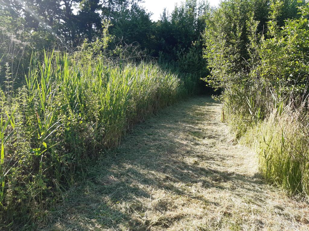 CJBridge's tweet image. It's on days with persistent heavy rainfall and strong winds (the last 2 days) plus I'm working from home now, I cast my mind back to the huge importance of winter scrub management &amp;gt; Spring 2023 &amp;gt; net lanes looking awesome and last year we had a breeding attempt by nightingale!