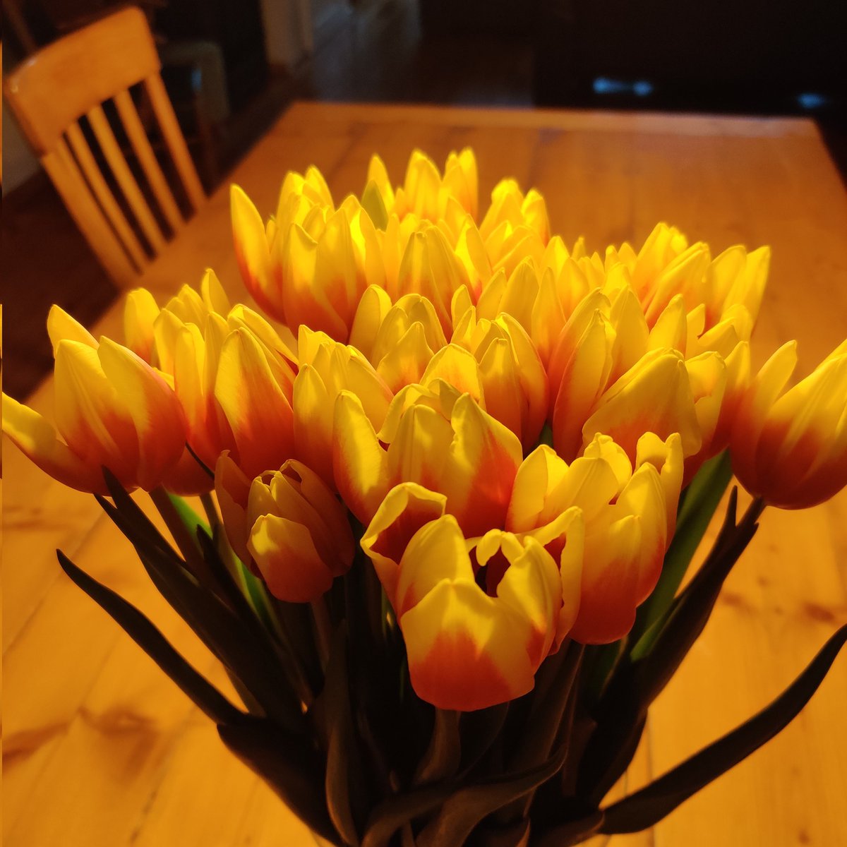 10VoorJeDag's tweet image. Beetje voorjaar op tafel

#opgeruimdhuis #huistekoop #Biddinghuizen #verhuizen #nieuwhuis