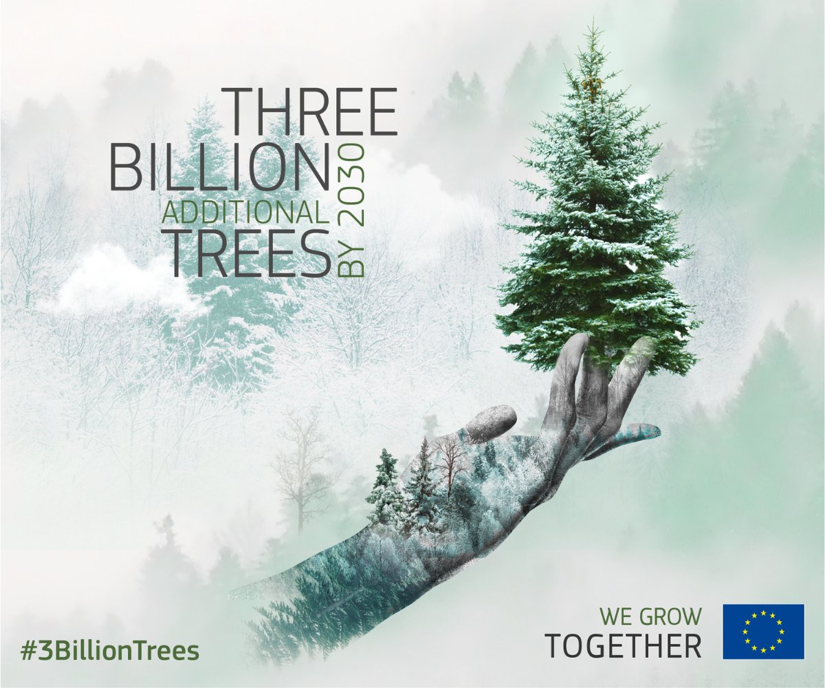 Let's start off the New Year with a good deed #ForOurPlanet!

How about planting & caring for a tree? 🌲🌳

Support your local tree-planting organisation and help us get to #3BillionTrees in Europe by 2030

Together, we can make #EUForests thrive again 👉 europa.eu/!PvrVGK