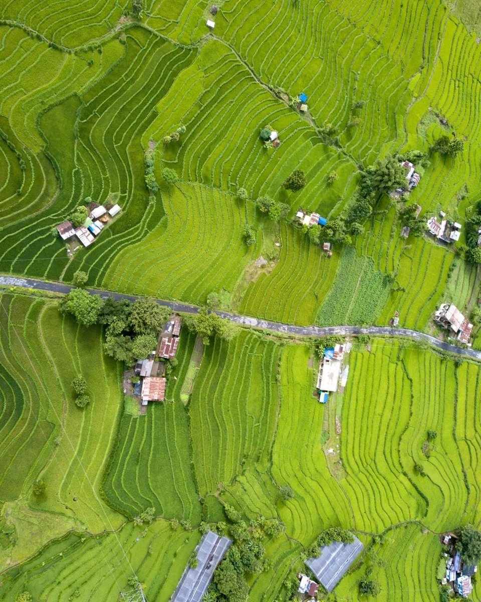 NortheastindiaI's tweet image. SIKKIM, Daramdin is a village in the Soreng district of Sikkim, India. It's located in the western part of the state, about 120 km from the capital city of Gangtok. #sikkimtourism #sikkimdiaries #pelling #sikkim #southsikkim #gangtok #exploresikkim #northeast #whereisnortheast