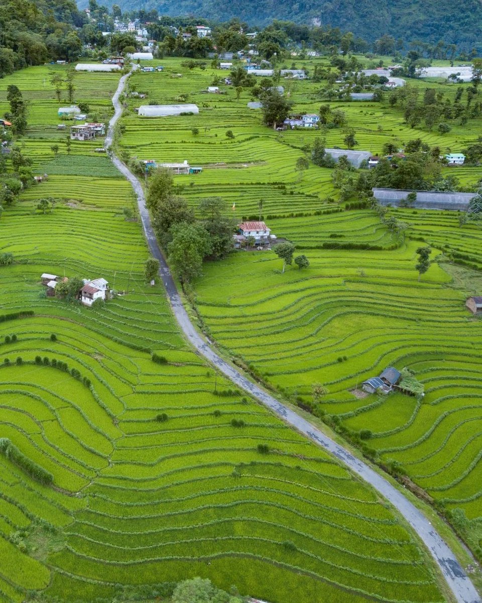 NortheastindiaI's tweet image. SIKKIM, Daramdin is a village in the Soreng district of Sikkim, India. It's located in the western part of the state, about 120 km from the capital city of Gangtok. #sikkimtourism #sikkimdiaries #pelling #sikkim #southsikkim #gangtok #exploresikkim #northeast #whereisnortheast