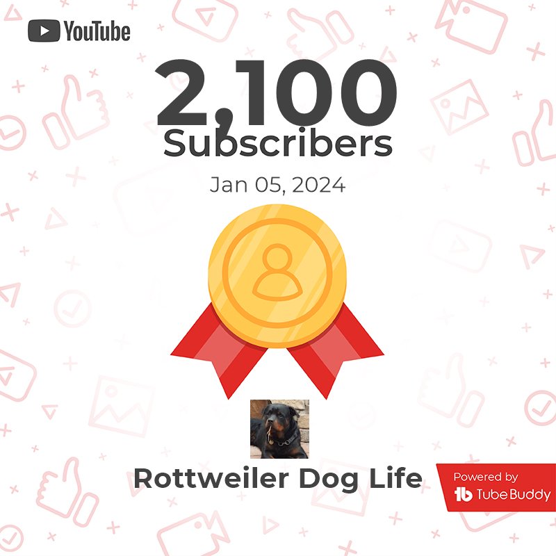Rottdoglife's tweet photo. A big hug to all of you making this possible. Words can not describe my appreciation.  #rottweilerdoglife #rottweiler
#appreciation #ThankYou #loveyou #milestone #SubscribeNow #hugs https://t.co/OoulZQQJwT