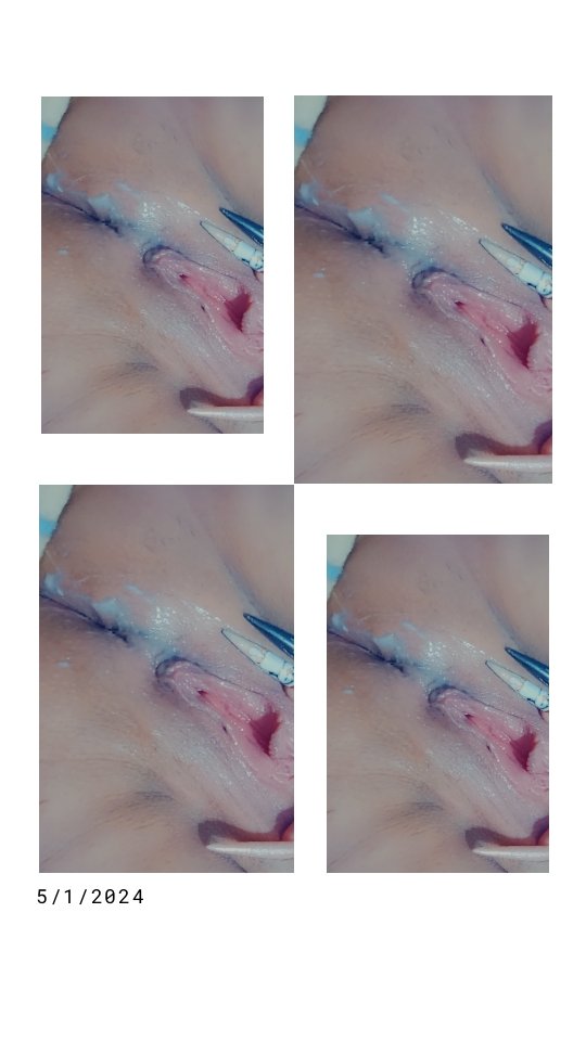 freshly cum pussy