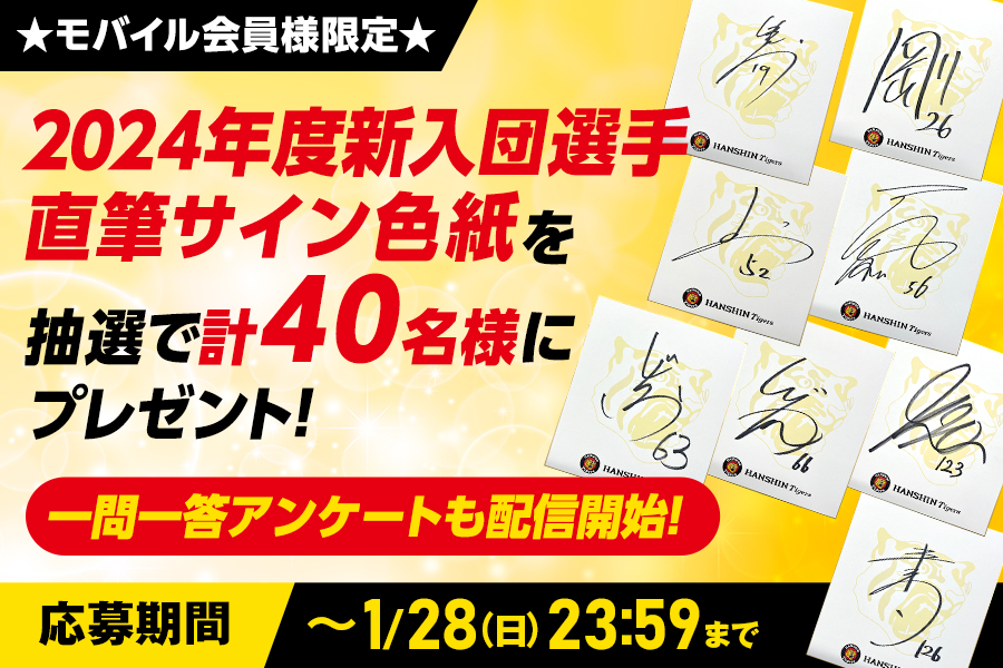 2024年阪神タイガース選手サイン色紙16枚 【公式通販】