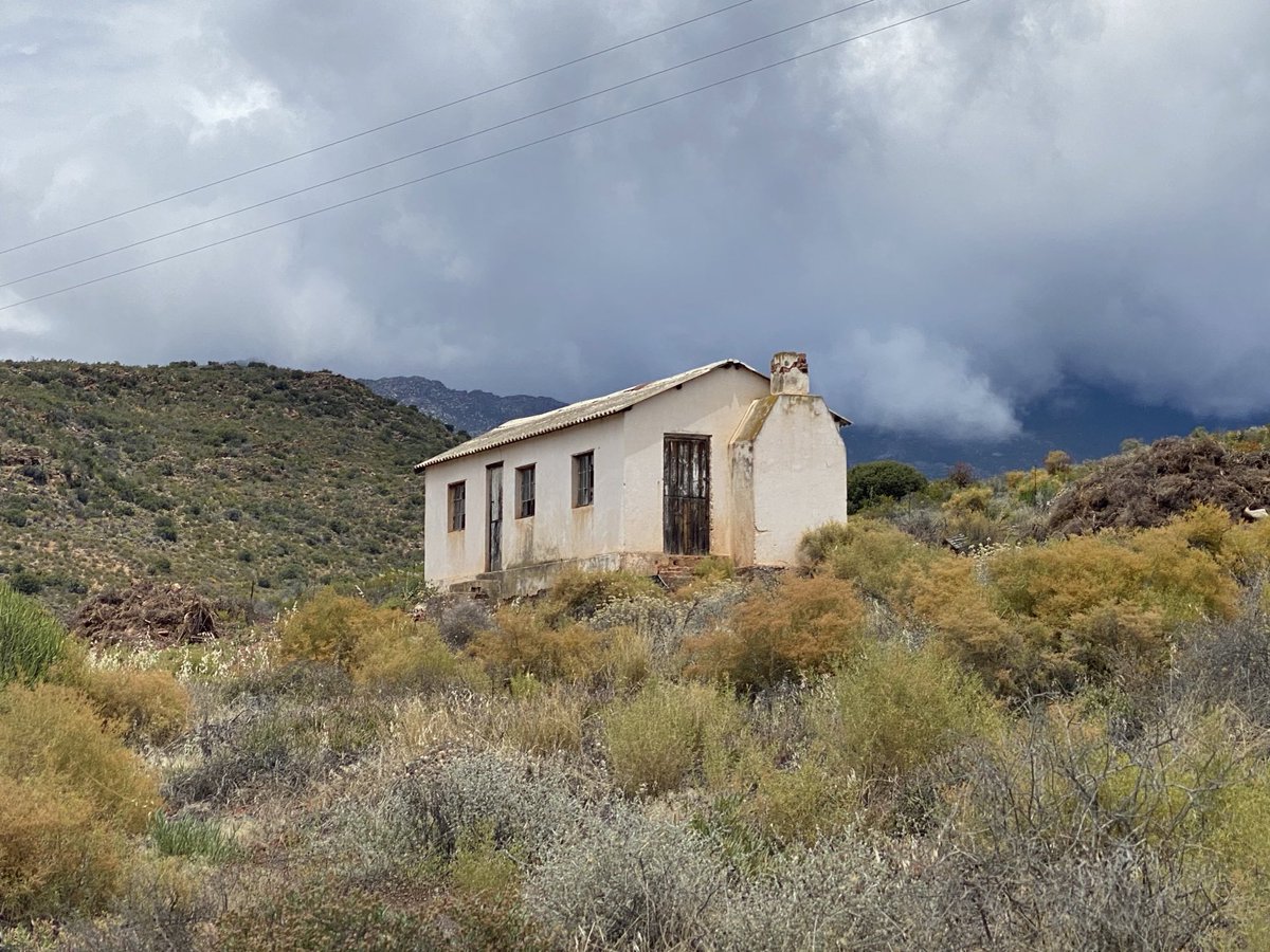 @RoryDun76684897 @ConCaracal Here’s a lovely #kleinkaroo farm lodging scene from near Montague #westerncape