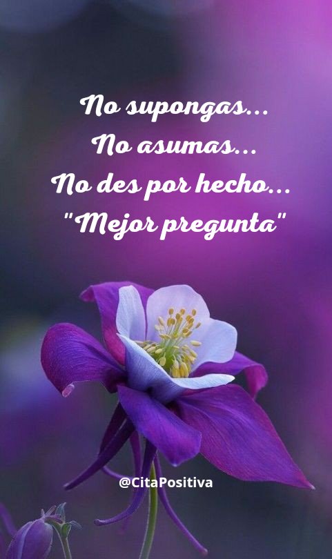 Pensamiento Positivo (@citapositiva) on Twitter photo 