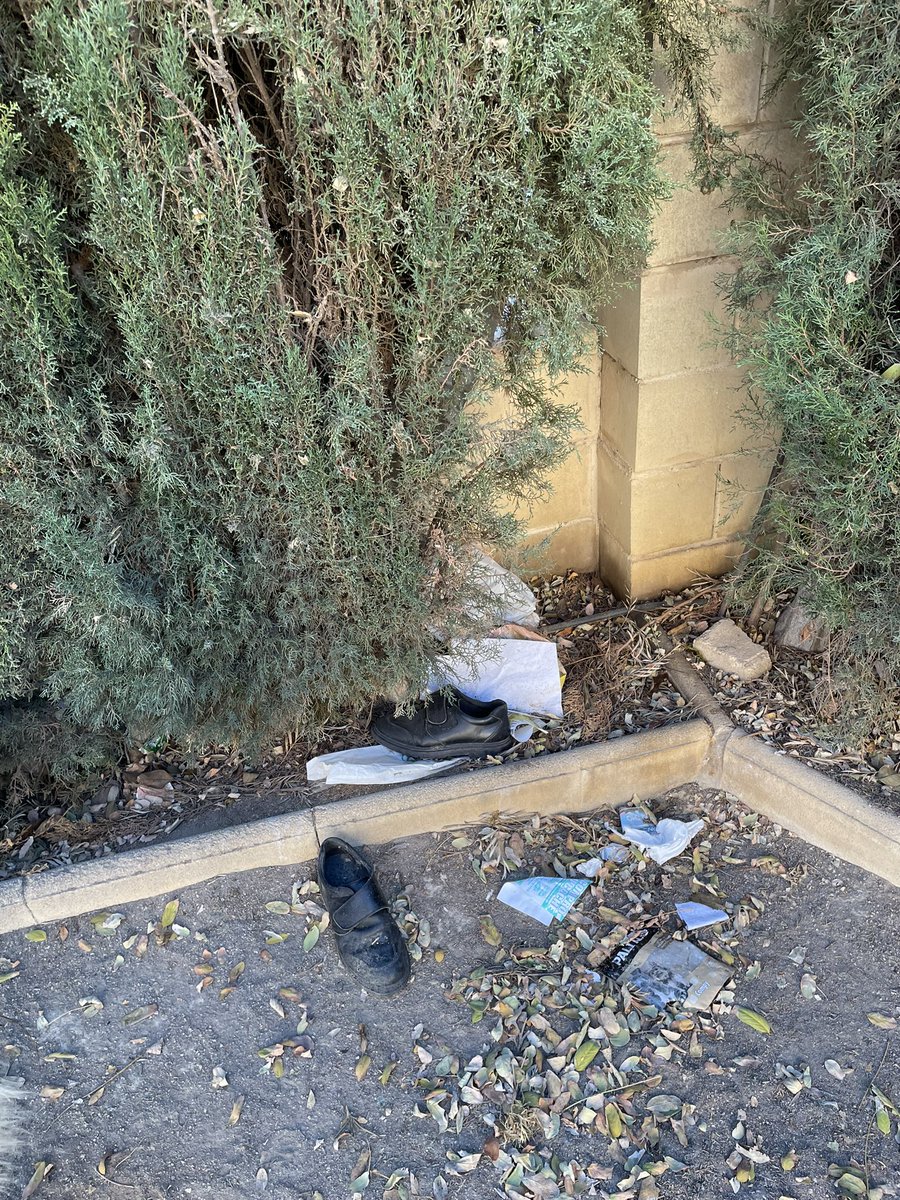 JoaquinRSala's tweet image. También están los mocasines de #elmagodeoz @AytoOrihuela