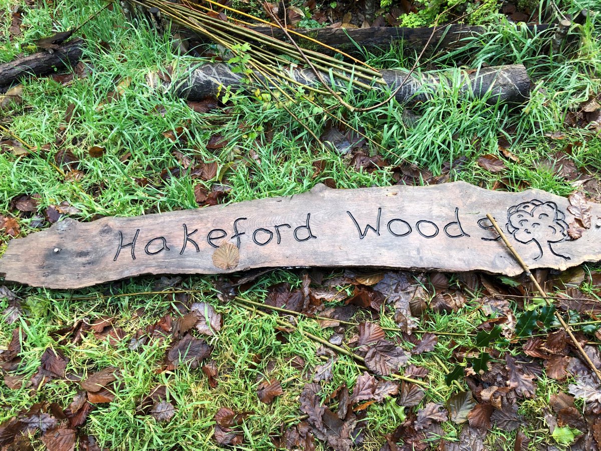 Tune in to @BBCDevon at 11:30 for the final interview with one of our Devon on Earth grantees. @hakefordwoods will discuss their community initiatives for better mental health, stronger communities & a greener future. #DevonOnEarth