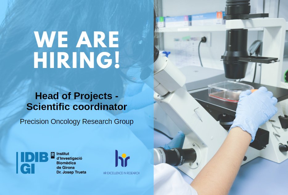 📢 JOB OFFER: Head of Projects - Scientific Coordinator <a href="/OncoGir/">Oncologia Mèdica, ICO Girona - Hospital Trueta</a>

Expected incorporation: January - February
Expected duration: Permanent position
Working hours: 40h/week

Find out more: idibgi.org/treball/respon… #hiring