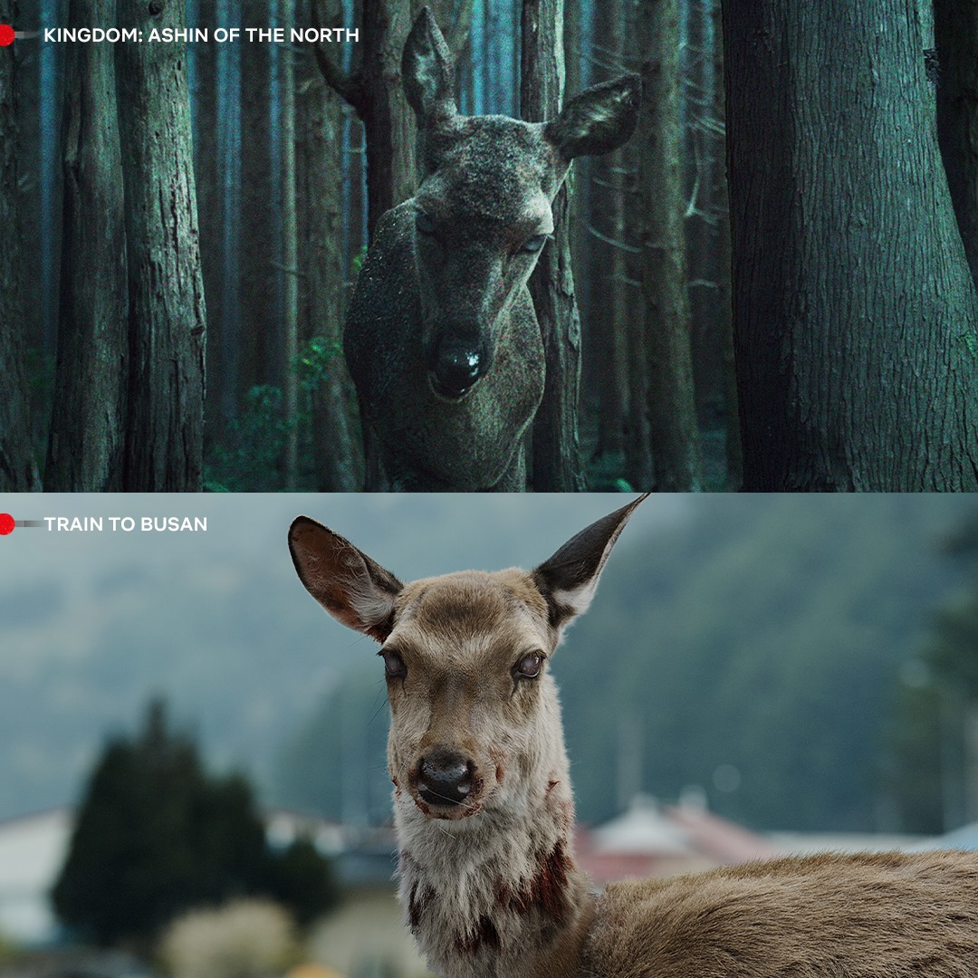 worwhalepony's tweet photo. ฉันว่าสถานการณ์นี้มันคุ้นๆนะ... #Kingdom #Ashinofthenorth #traintobusan https://t.co/XCXBU6mL4U
