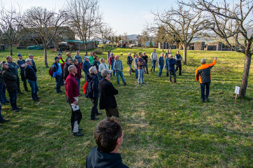 Jetzt anmelden: 7. Obstbaumschnitt-Symposium am 23. März 2024 in Molsberg/Westerwald streuobst-verbindet.de/event/7-obstba… #streuobstueberall #streuobst #westerwald