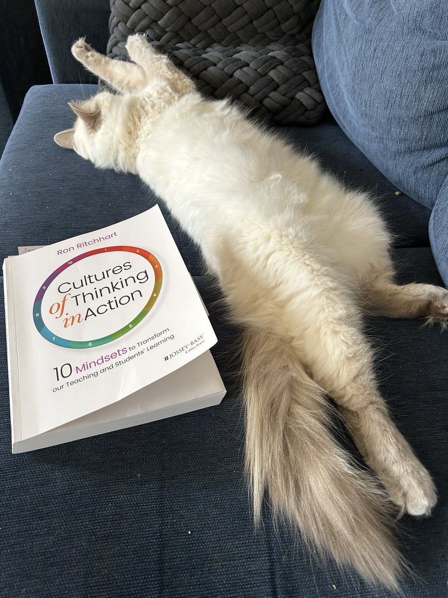 Dr Stephanie Smith tweet media