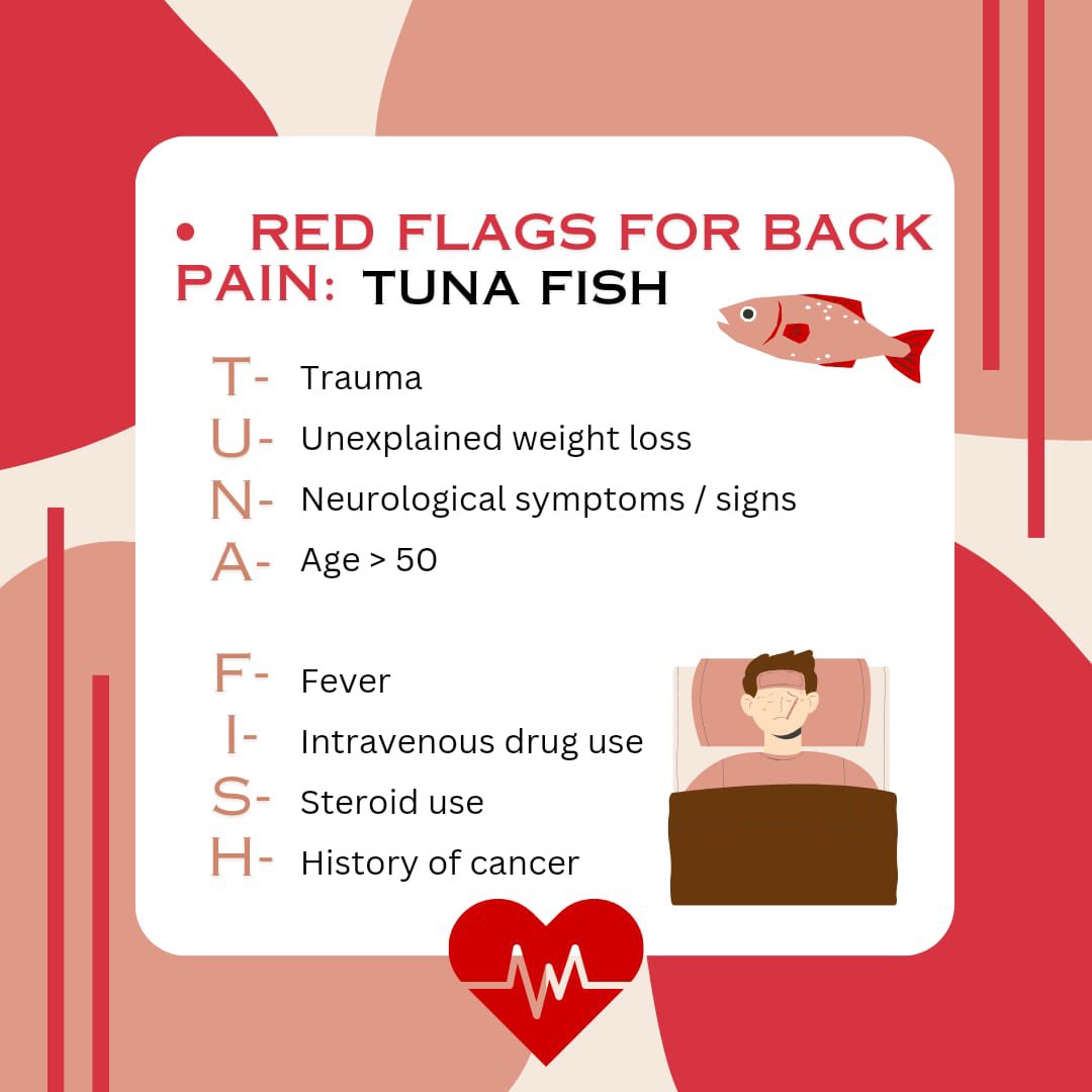 International Fraternity of Medical Students tweet media