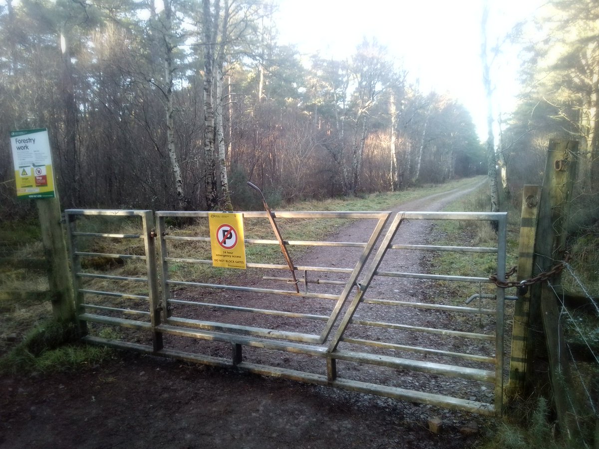 DavidRoger1951's tweet photo. Entrance to #Culbin forest near #Lochloy for #FerrousFriday https://t.co/uBMvZJI4tz