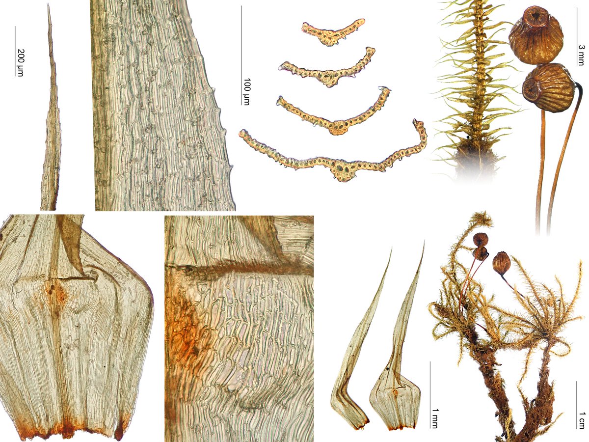 Michael Lueth tweet media