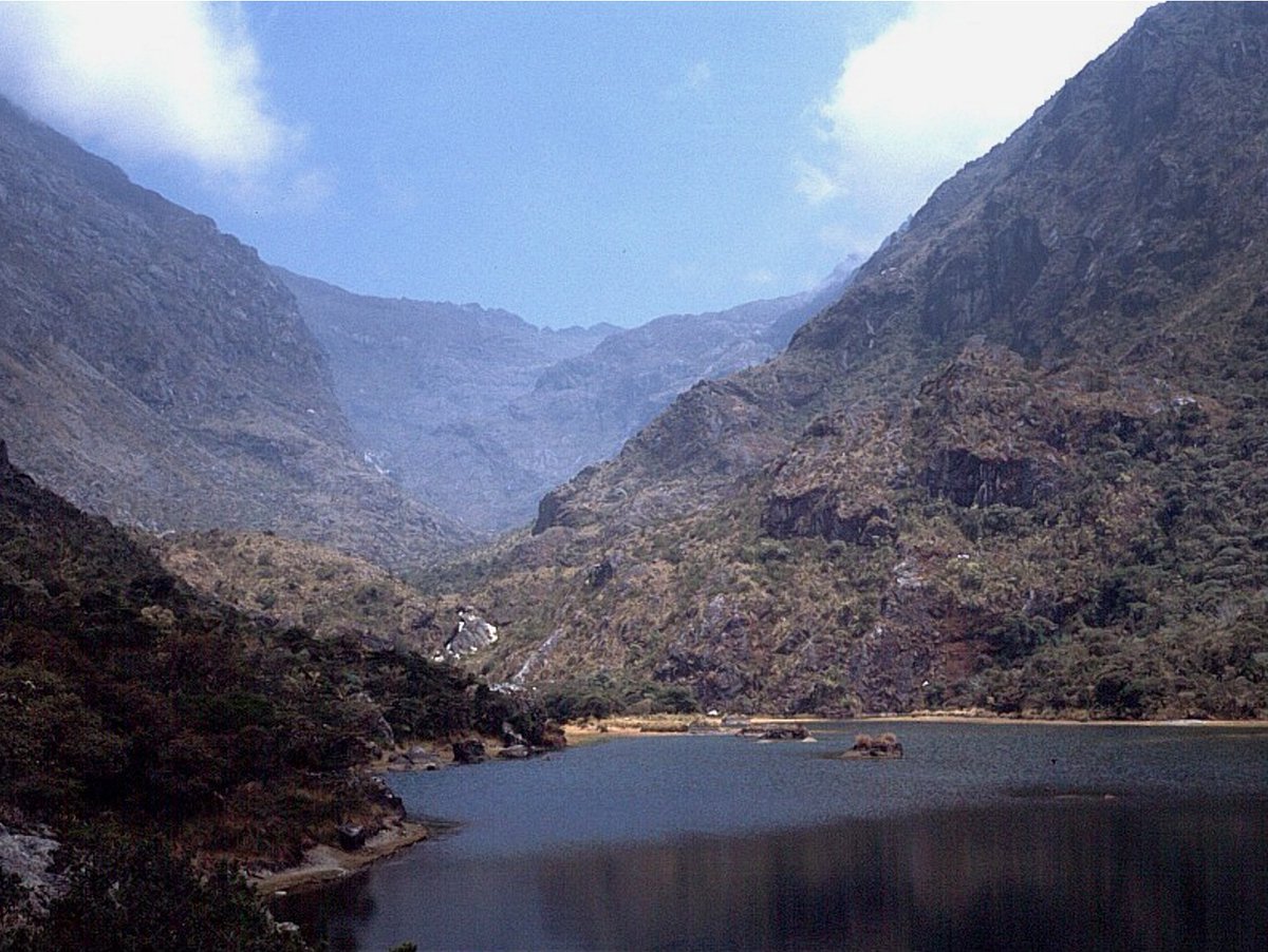 Michael Lueth tweet media