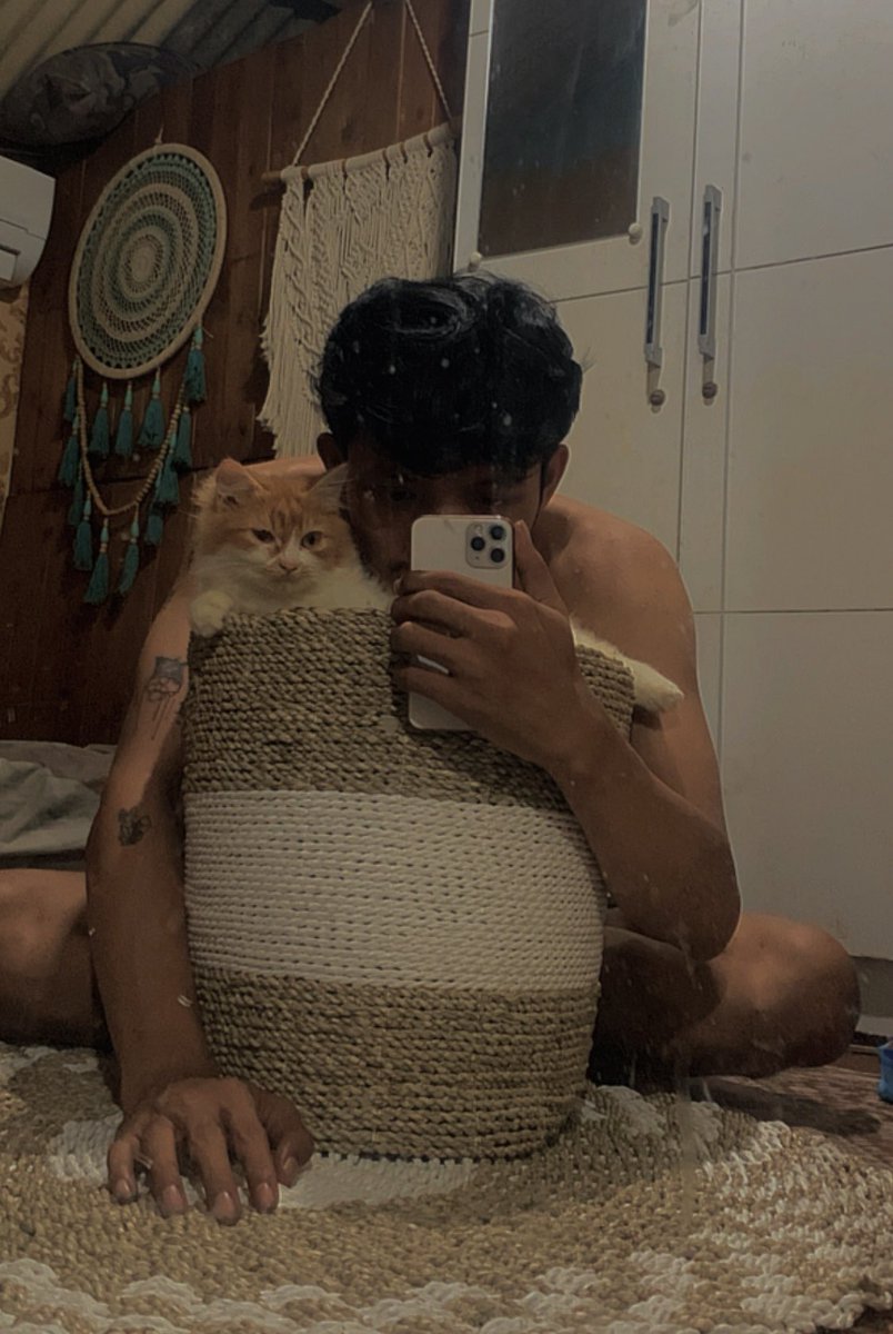 Miawsturbate's tweet photo. Mau elus kucingnya apa ngeraba yang punya? https://t.co/vvkGIVi4EN