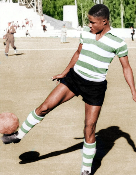 Por cada leão que cair, outro leão se levantará 💚🦁