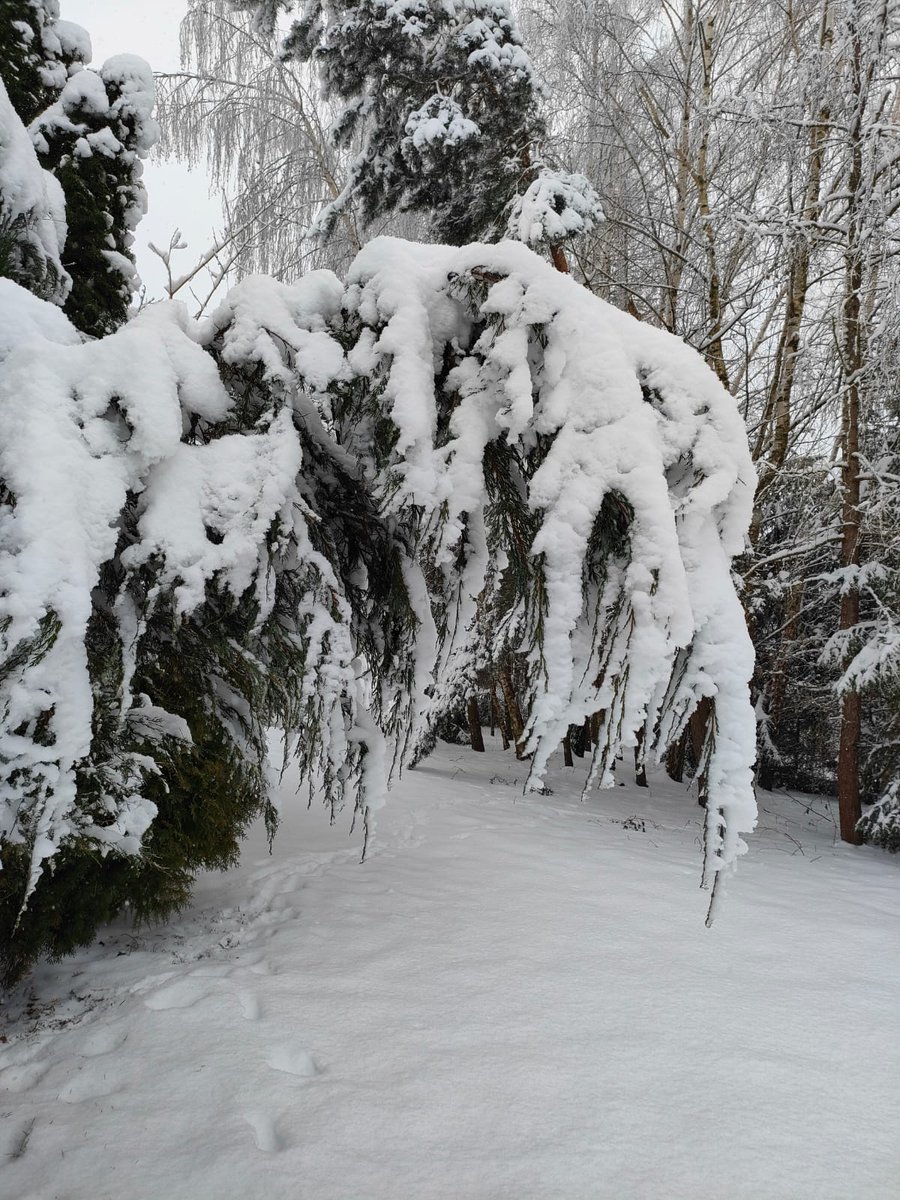 travelopulent's tweet photo. Meanwhile in Poland
#fromdad #homecountry #poland #polska https://t.co/SeQtzXM0n7