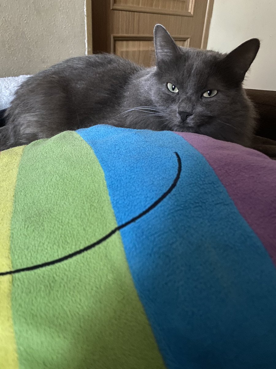 кот extremely-slay-ист