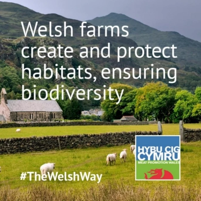 Starting 2024 with a new publication in Agriculture &amp; Human Values with <a href="/RhiannonKACraft/">Rhiannon Craft</a> 
Looking at Welsh livestock farmers views on potential to transition to horticulture
link.springer.com/article/10.100…
Thanks to <a href="/HybuCigCymru/">HCC</a> for the images