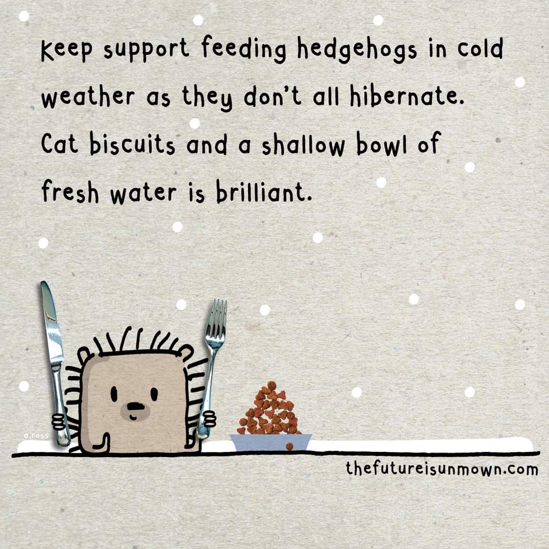 #wildlife #supportfeed #hedgehogs #waterforwildlife #thefutureisunmown thefutureisunmown.com
