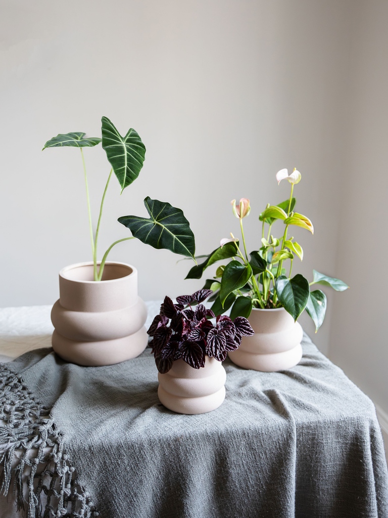Our beautiful Elizabeth Shell is the perfect, elegant &amp; versatile, premium planter to house your plants.

This has soft, feminine features and a well grounded base. It's a stunningly unusual shape in a sandstone matt finish.

Shop our Elizabeth Shell today.