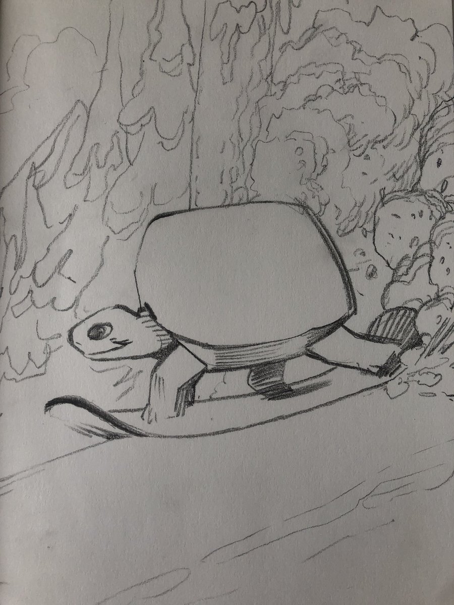 Imagining a turtle snowboarding and going really fast