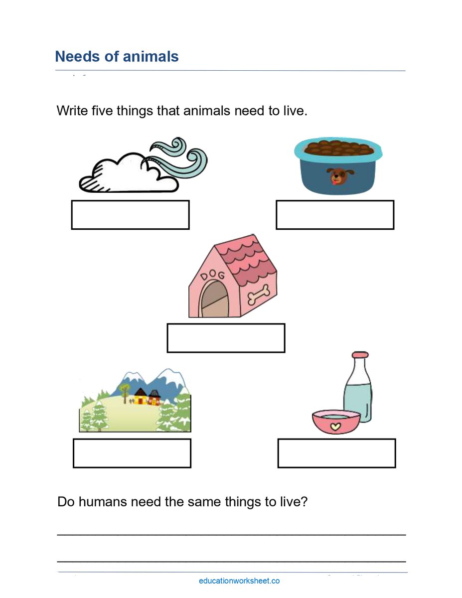 eworksheets1 tweet picture