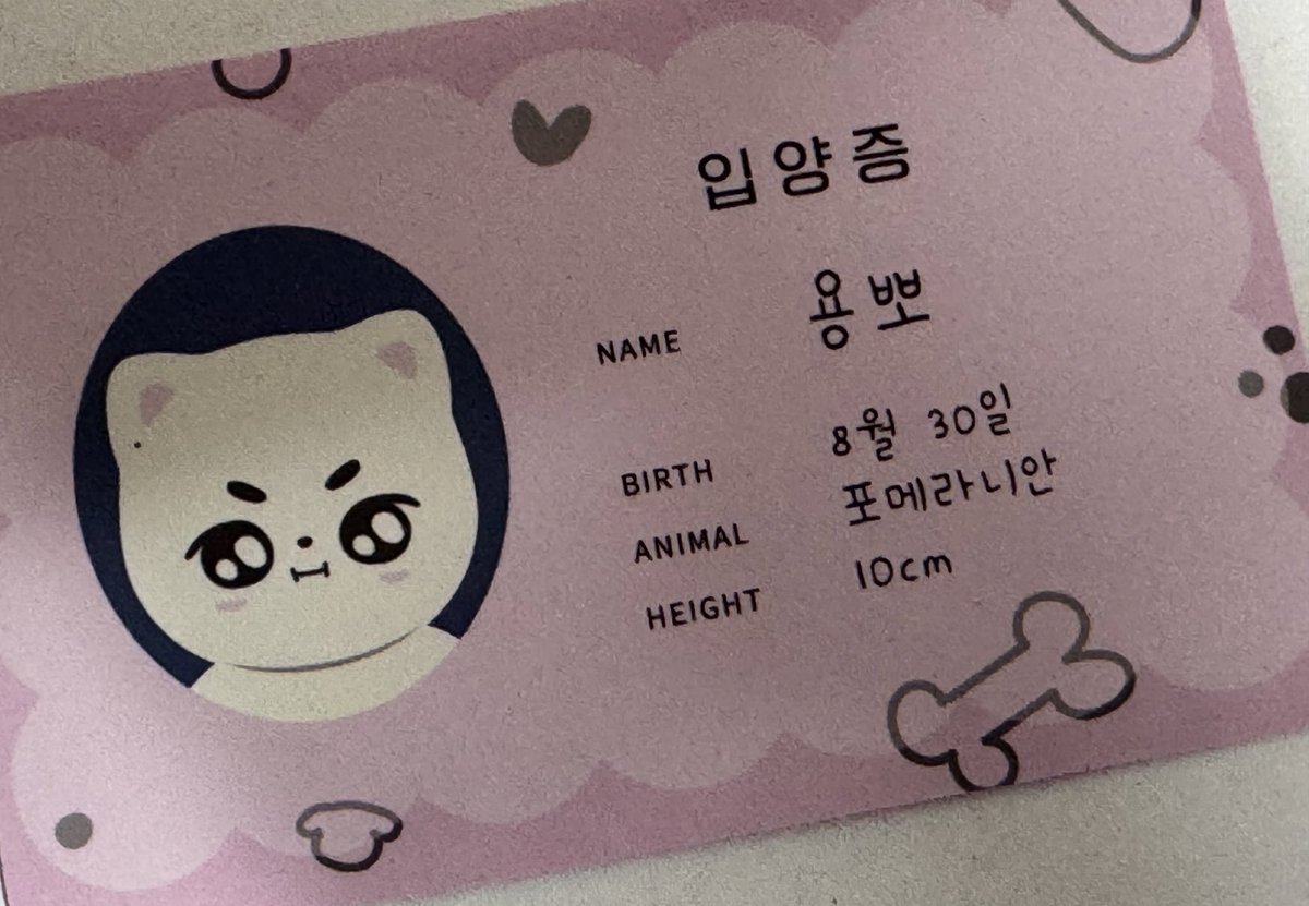 oanibhvv's tweet photo. 용뽀 .. ❤︎ 너무 커여워요 ㅜ.ㅜ ᐡ•̅ ·̫ •̅ᐡ 
용맹한데 우리집은 내가 지킬 것 같음 !! https://t.co/uV42EaOdel