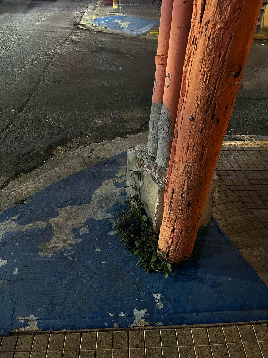 adoptaunhoyo's tweet photo. En #Rincon área de la Plaza (ayúdame a etiquetar al Alcalde) #adoptaunhoyo #LeyAda https://t.co/oicbolemos
