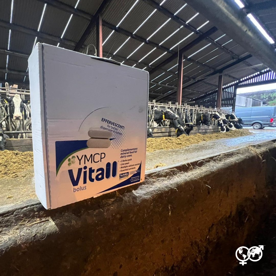 𝗗𝗶𝘀𝗰𝗼𝘃𝗲𝗿 𝘁𝗵𝗲 𝗬𝗠𝗖𝗣 𝗩𝗶𝘁𝗮𝗹𝗹 𝗕𝗼𝗹𝘂𝘀
An Effervescent 2-Bolus Fresh Cow Supplement Designed With Live Yeast, Multiple Calcium Sources, And Essential Nutrients.
One Box Contains 12 Doses (2 Bolus = 1 Dose)
wwsires.co.uk/ymcp-vitall-bo…