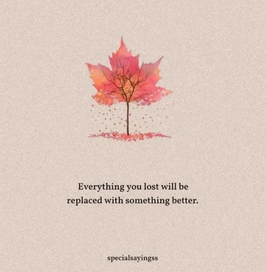 mindfulmaven_'s tweet photo. I truly believe it. https://t.co/PM3FCL4RhK