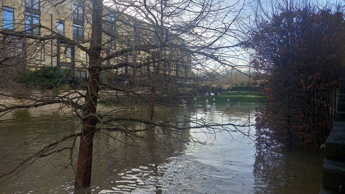 Riverside Community Voice tweet media