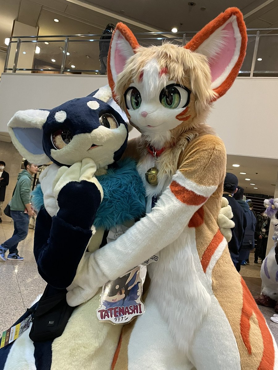 Hoshikawa_26's tweet photo. 茶々虎くんおっきい😆✨🐈
タテナシくんとハグしてかわいい
#JMoF2024
#kemono_LINE https://t.co/oyyBfVAEmB