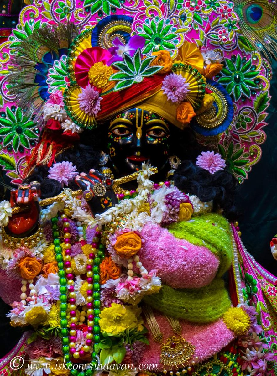 Hare Krishna 💐🥀🪷🦚🌹