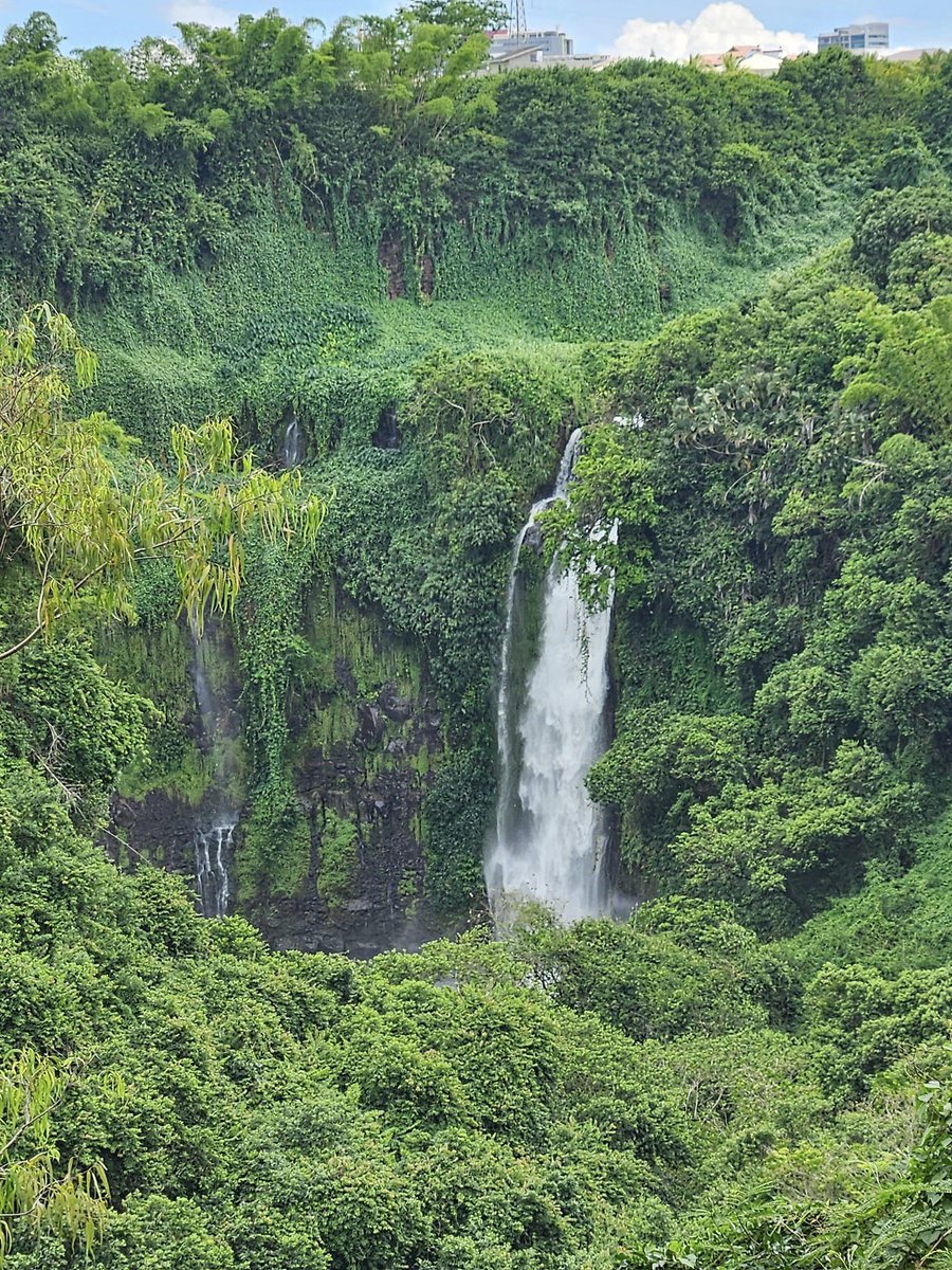 Green the new luxury Welcome to Mauritius #Travel