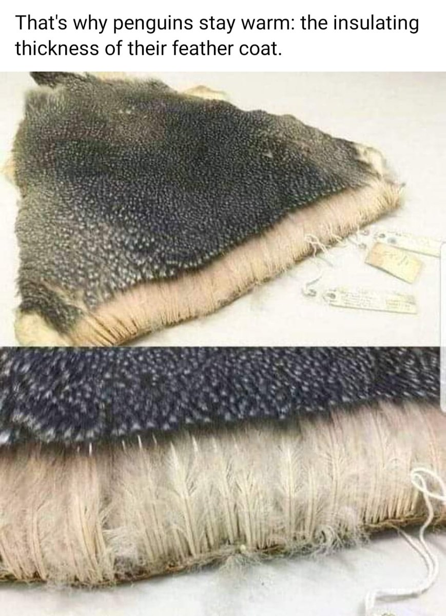 freemonotheist's tweet image. #NoDesign🙄